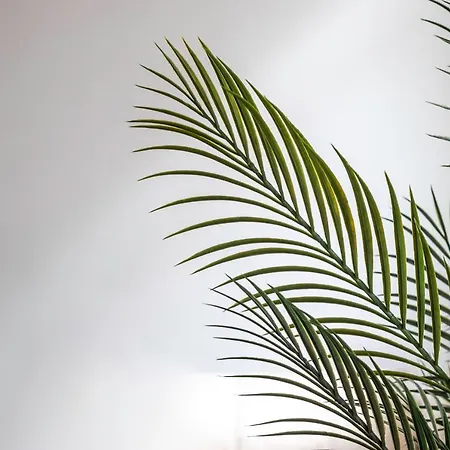 Appartement La Alameda De Indautxu